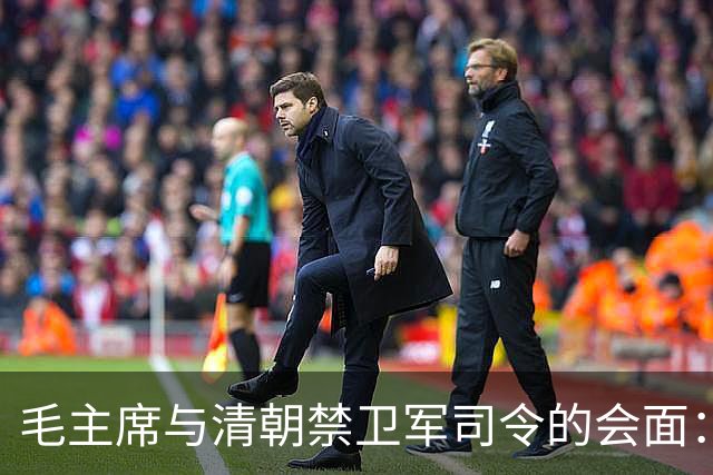 毛主席与清朝禁卫军司令的会面：一种历史的交织与反思